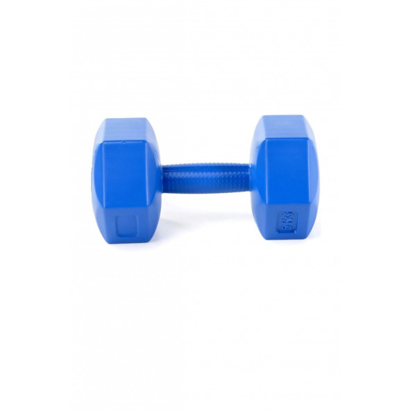1 kg x 2 adet Plastik Mavi Dambıl (CS-563) - 2