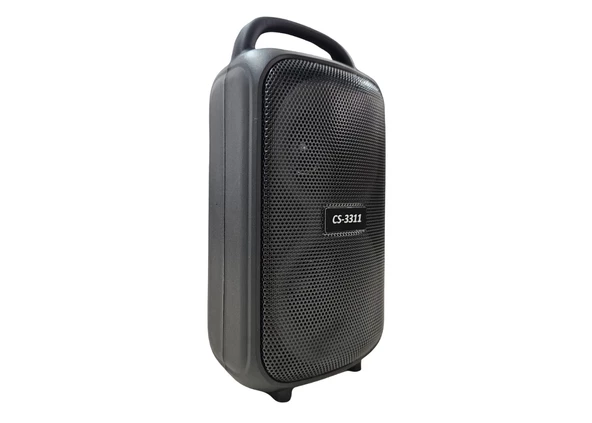 Platoon PL-4584 SD/USB/BLUETOOTH TYPE-C Girişli Bluetooth Speaker - 4