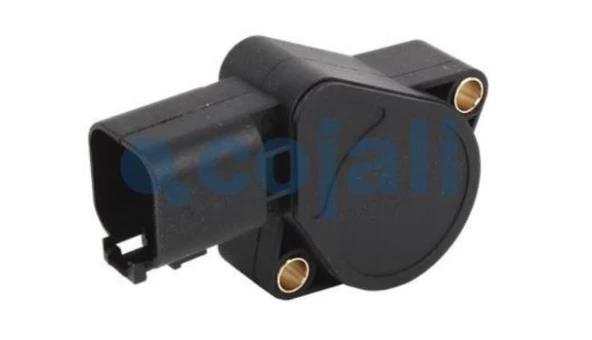 GAZ PEDAL SENSORÜ RENAULT EURO 3-5 7482492421