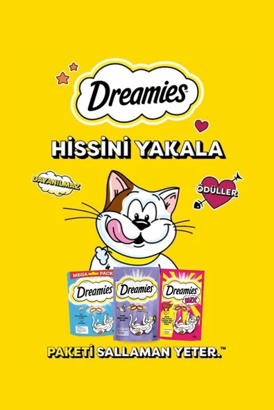 Dreamies Mix Somonlu ve Peynirli Kedi Ödül Bisküvisi 60 G - Resim 4