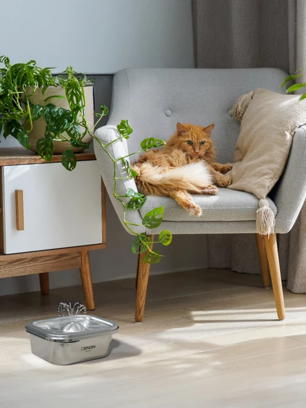 Xenon Smart Akıllı Su Pınarı, Çelik Gövde, Sessiz Çalışma, Wifi Bağlantı - 8