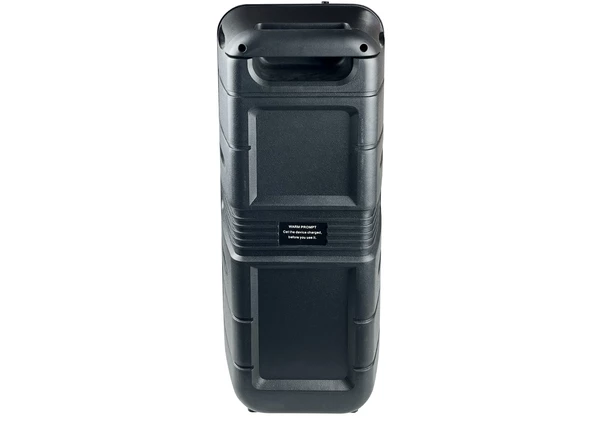 Platoon PL-4543 BT/SD/AUX Girişli Işıklı Bluetooth Speaker (CA-8800) - 3