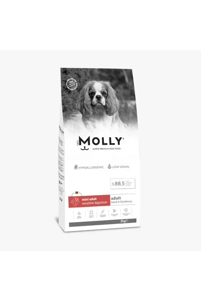 MOLLY KÖPEK MINI ADULT KUZU ETLİ YABANMERSİNLİ 2 KG - 1