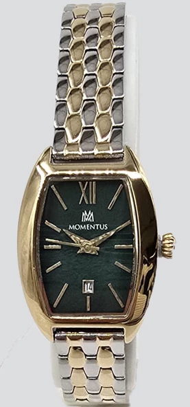CW310T-15SG MOMENTUS WOMEN'S CLASSY KOL SAATİ