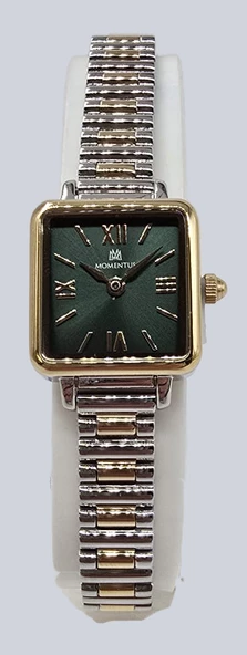 CW312T-15SG MOMENTUS WOMEN'S CLASSY KOL SAATİ