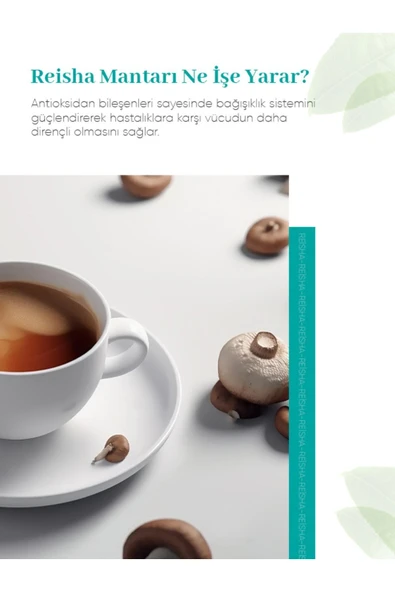 WİNLİFE YEŞİL ÇAY WİNMİX REISHI - 5