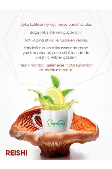 WİNLİFE YEŞİL ÇAY WİNMİX REISHI - 2