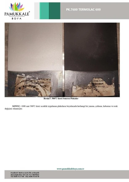 Pamukkale Thermolac 600 Derece Isıya Dayanıklı Boya 2.5 Kg Siyah - 8