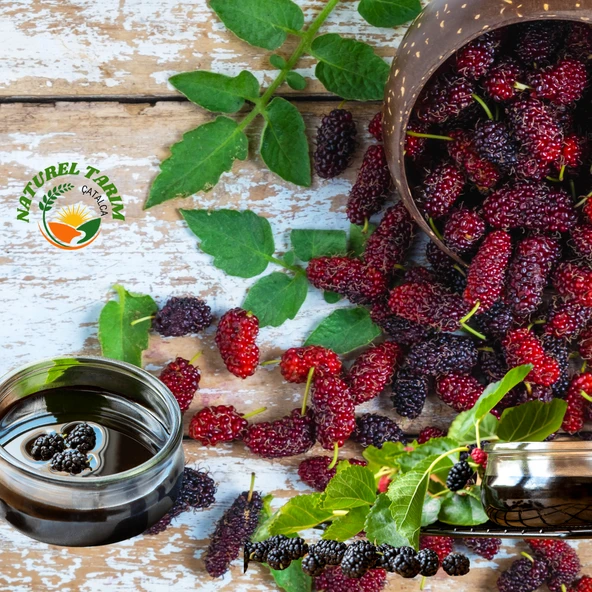 NATUREL KARADUT PEKMEZİ - ÇİĞ SUSAM TAHİNİ - 5