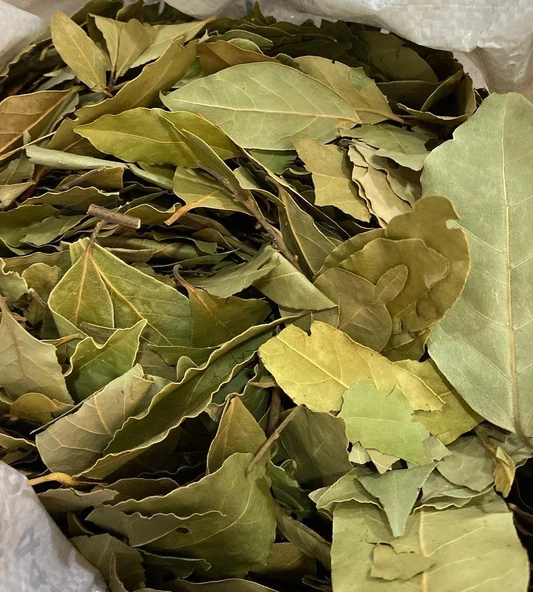 Avokado Yaprağı Otu Çayı 300 gr ( Doğal Kurutulmuş, Katkısız ) Avakado Yaprağı