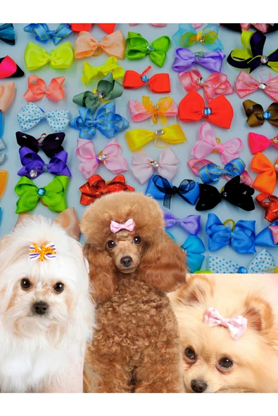 Köpek Toka Karışık 20 Adet Taşlı Lüx Aksesuar Lastikli Toka - 5