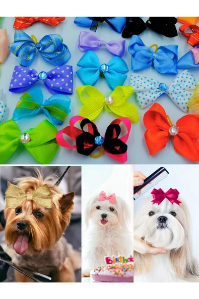 Köpek Toka Karışık 20 Adet Taşlı Lüx Aksesuar Lastikli Toka - 3