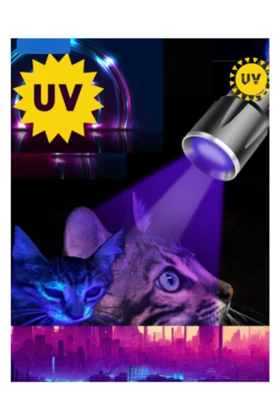 mantar idrar gösteren uv ışık ultraviyole el feneri kedi köpek