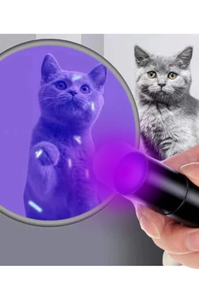 idrar gösteren uv ışıklı büyük boy el feneri ultraviyole kedi köpek mantar - 3