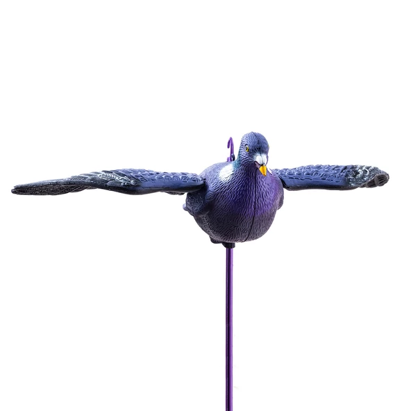 Tahtalı Güvercin Mühresi - Kanatlı - Gerçekçi Tasarım 3 Boyutlu - HDD 011W T - Resim 5