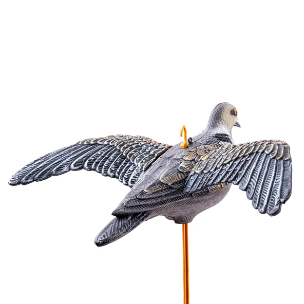 DD.02 Yeşilbaş Ördek Mühresi - Resim 5