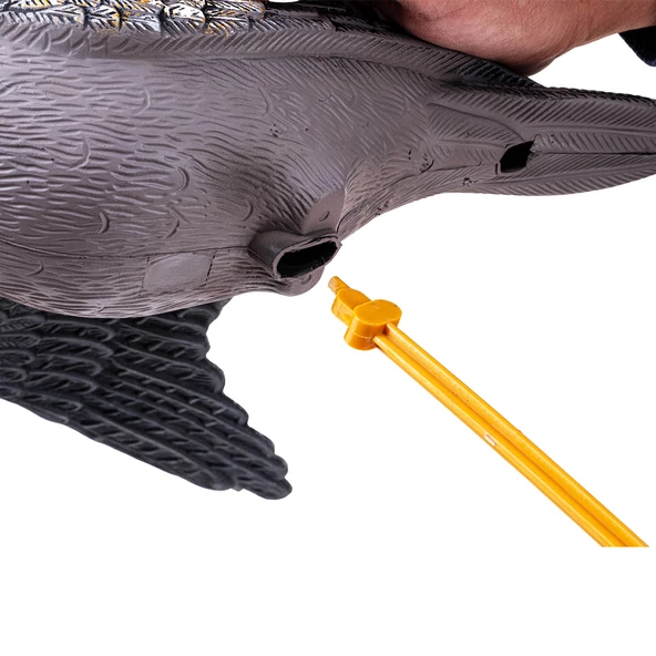 DD.02 Yeşilbaş Ördek Mühresi - Resim 3