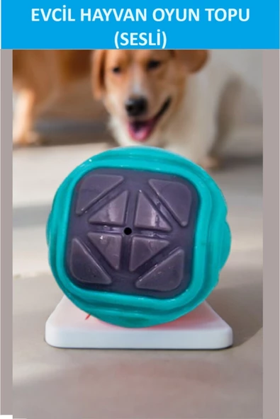 ZETCONCEPT SESLİ KÖPEK TOPU (KENDİNDEN SESLİ KÖPEK OYUNCAĞI) - 2