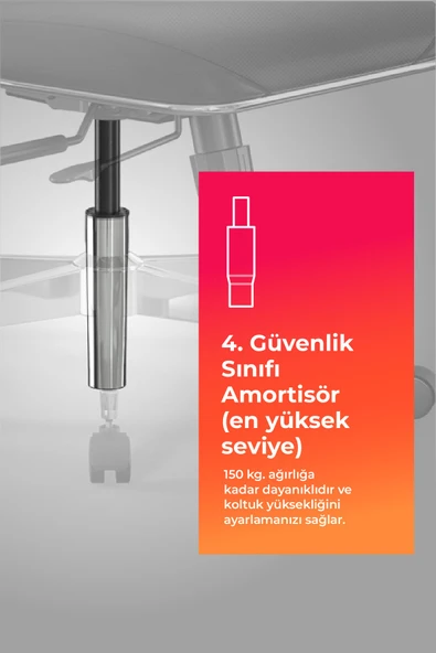 Ergolife SynchroSit 10 Ergonomik Deri ve Fileli Ofis - Yönetici Koltuğu / Çalışma Sandalyesi - 1D1.D.1.333 - 5