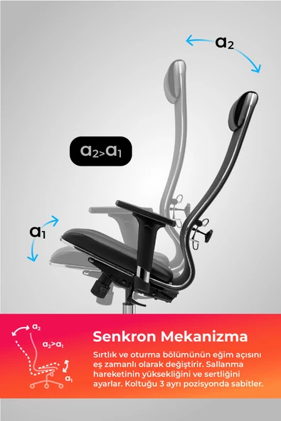 Ergolife SynchroSit 10 Ergonomik Deri ve Fileli Ofis - Yönetici Koltuğu / Çalışma Sandalyesi - 1D1.D.1.333 - 3