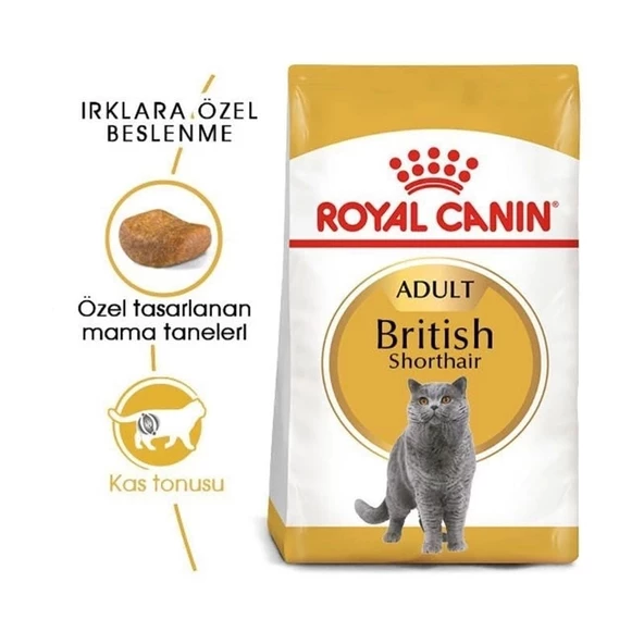 Royal Canin British Shorthair Adult Yetişkin Kedi Maması 4 Kg - 2