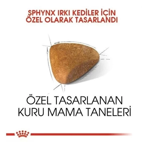 Royal Canin Tüysüz Sphynx Cinsi Yetişkin Kedi Maması 2 Kg - 3