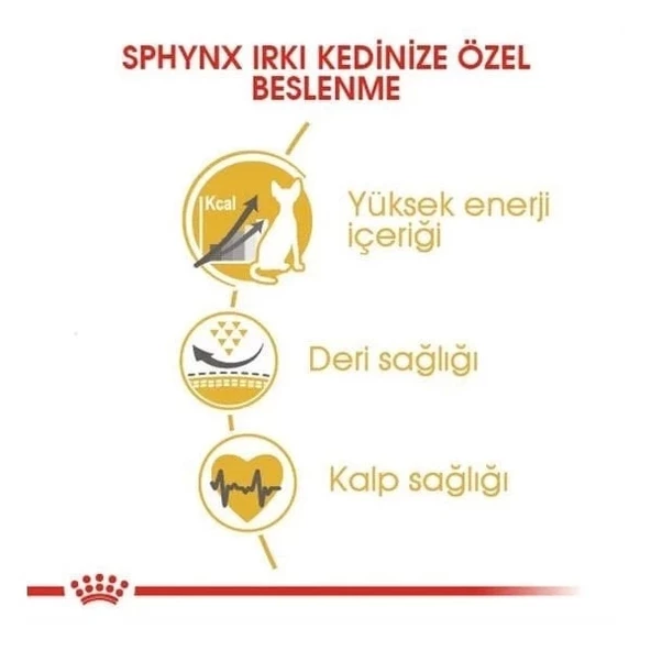 Royal Canin Tüysüz Sphynx Cinsi Yetişkin Kedi Maması 2 Kg - 2