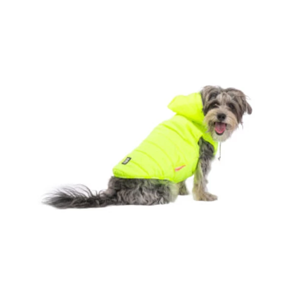 Pawstar Neon Yellow Railway Köpek Kıyafeti 2xl Beden