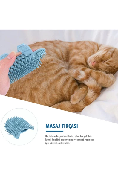 Airtag Yuvalı Kedi Ve Köpek Tasması Kilitli Güvenlik Aparatı Airtag Kılıfı ve Zil Boyun Tasması GPS  #1 Açık Mavi - 5