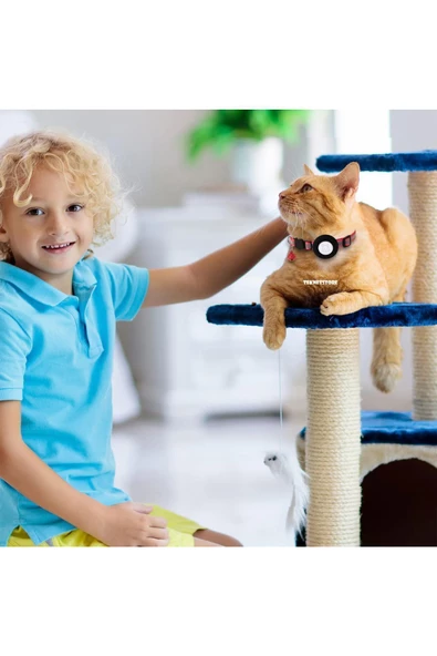 Airtag Yuvalı Kedi Ve Köpek Tasması Kilitli Güvenlik Aparatı Airtag Kılıfı ve Zil Boyun Tasması GPS  Tek Ebat Kırmızı - 6