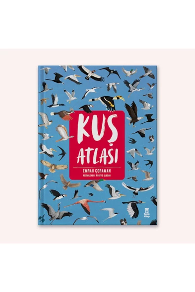 Taze Kitap Kuş Atlası (ciltli)