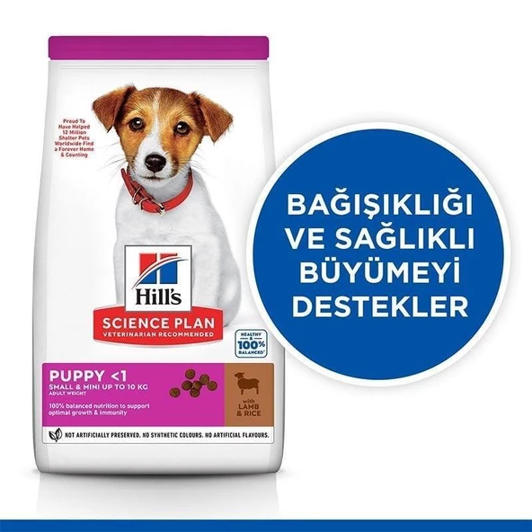 Hill's SCIENCE PLAN Healthy Development Kuzulu Küçük Irk Yavru Köpek Maması 6kg