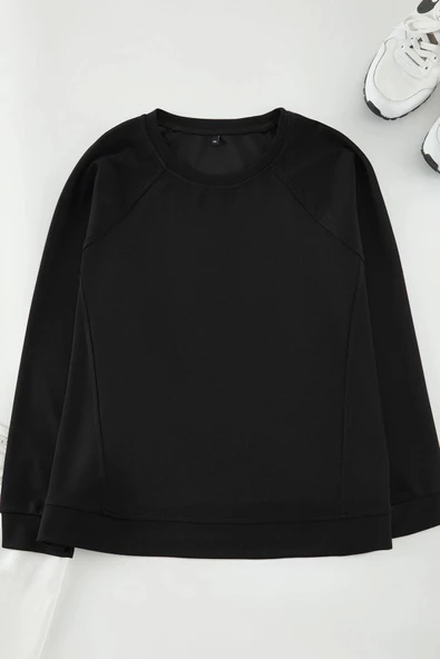 Büyük Beden Tarz Regular Bisiklet Yaka Reglan Kol Regular Dikiş Detaylı Pamuklu Fit Sweatshirt - 2
