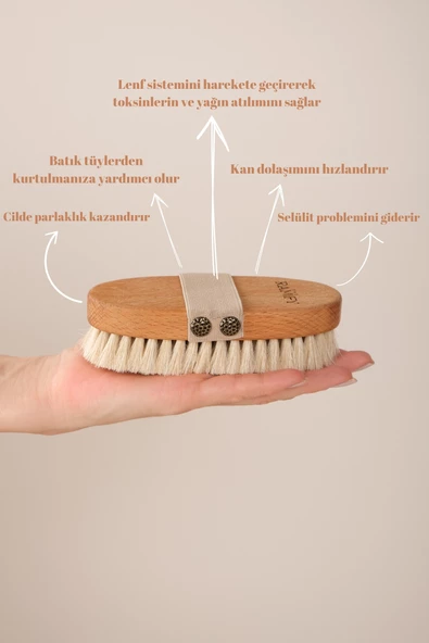 %100 Doğal At Kılı Selülit Fırçası Ve Batık Tüy Karşıtı - 5