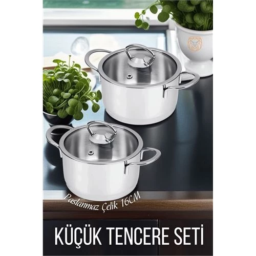 Findit 2 li Paslanmaz Çelik Tencere Seti 16 cm