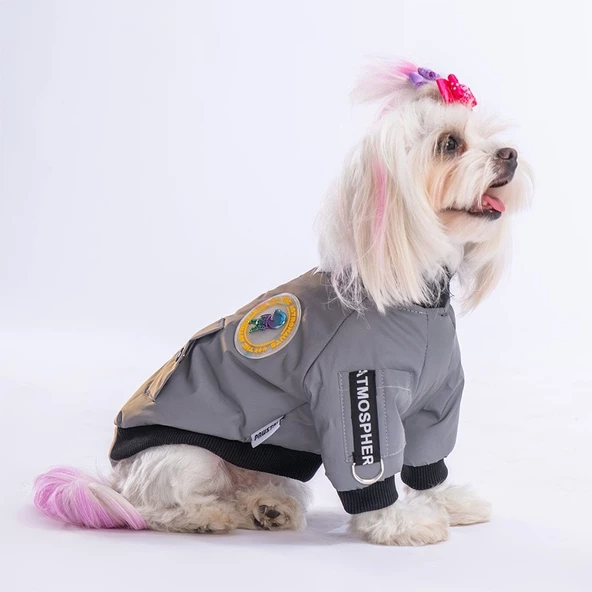 PawStar Astrodog Gri Reflöktörlü Kumaş Yağmurluk Küçük ve Orta Irk - Resim 3
