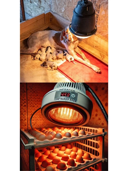 Avarson (5 Adet) 250W Kızılötesi (infrared) Isıtıcılı Hayvan Isıtma ve Kuluçka Lambası (Kırmızı Işık) E27 (Kalın Duy) - 5