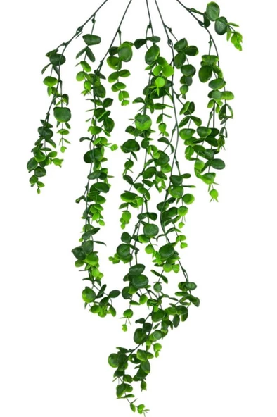 Nettenevime Yapay Çiçek 5dal Sarkan Okaliptus Şimşir Yapay Sarmaşık 70cm