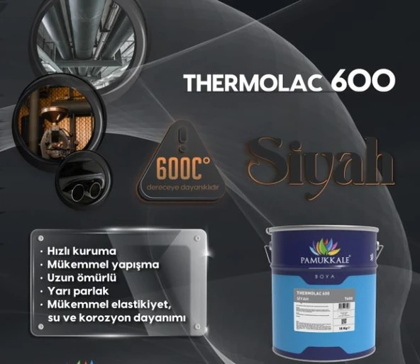 Pamukkale Thermolac 600 Derece Isıya Dayanıklı Boya 2.5 Kg Siyah - 2