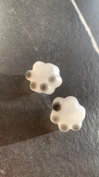 Sedefli Beyaz Siyah Renkli Kedi Köpek Pati Şekil ve Desenli Küpe Gümüş Aksesuarlı El Yapımı Epoksi - Resim 7