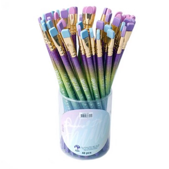 Dolphin Kurşun Kalem Silgi Shıne Başlıklı Shn-097-48-PKT