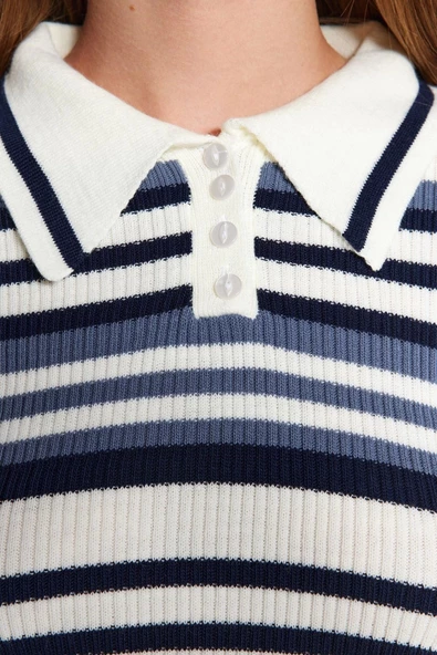 Stil Modern Kadın Crop Standart Kol Polo Yaka Triko Kazak