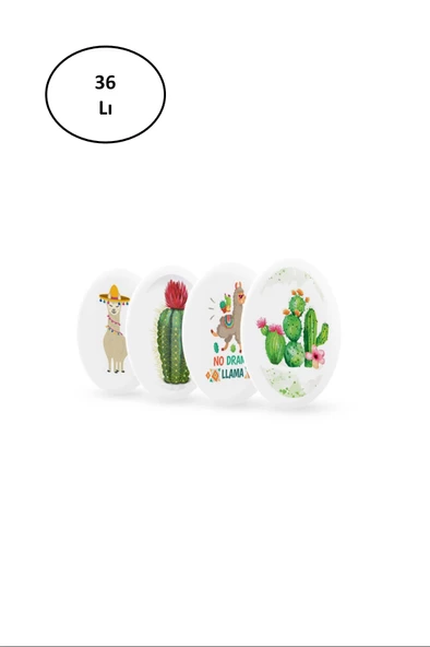 Silka Silgi Lama-Cactus Serisi SG.22 36'lı