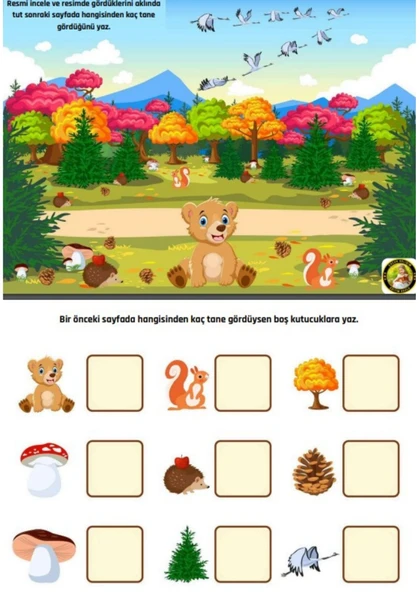 Cırt Cırtlı Evde Matematik Etkinlik YAZ-SİL Kitabı - Resim 3