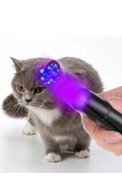 ultraviyole kedi köpek mantar idrar gösteren uv ışıklı büyük boy el feneri - 3