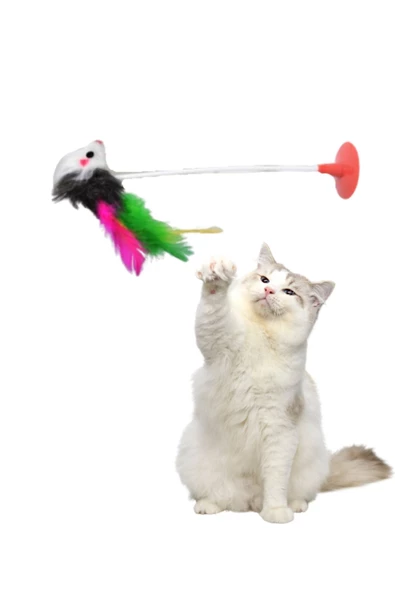 kedi fare oyuncağı vantuzlu - 2