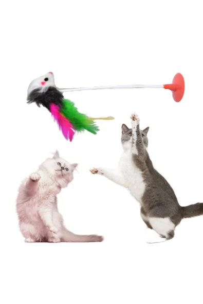 kedi fare oyuncağı vantuzlu - 3