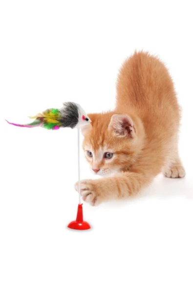 kedi fare oyuncağı vantuzlu - 5