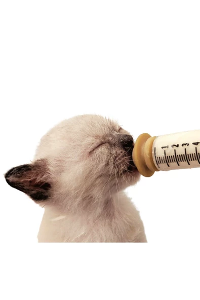 Evcil Hayvan Mini Silikon Meme Yavru Kedi Köpek Hamster Emzik Biberon P-00011111 - 2