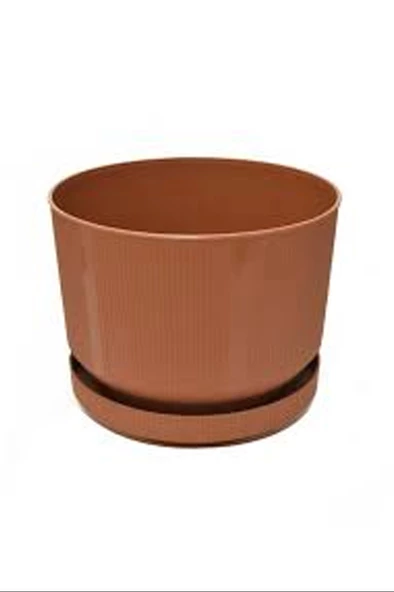 3No Saksı 6Lt Royaleks-S283